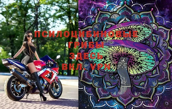 PSILOCYBIN Алзамай