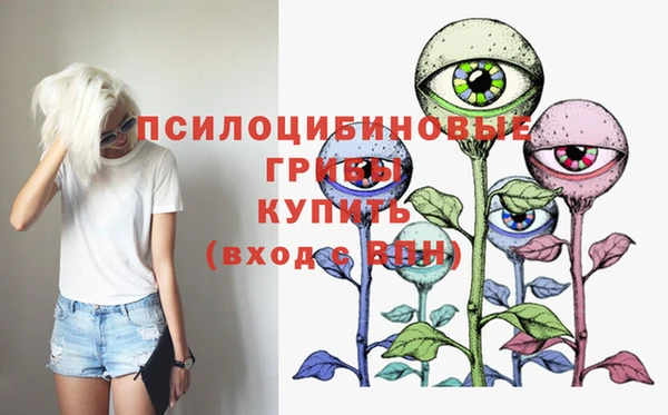 прущие грибы Нея