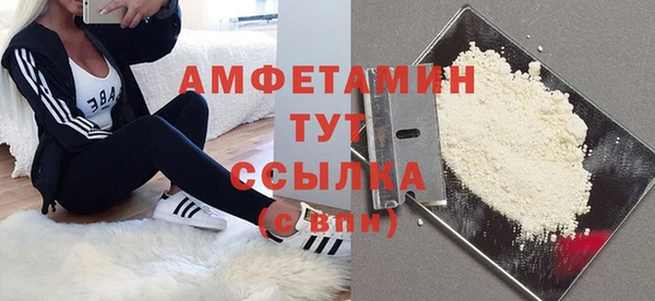 прущие грибы Нея