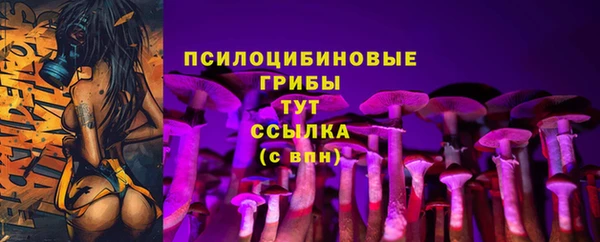 дживик Нефтекумск