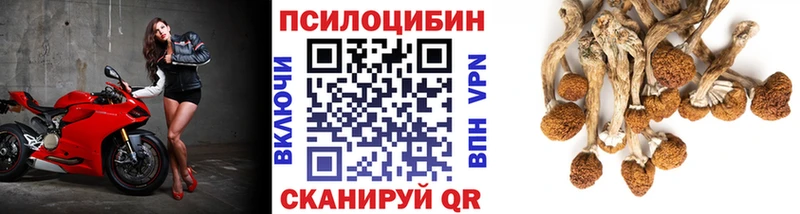 Псилоцибиновые грибы Magic Shrooms  blacksprut как зайти  Чехов 